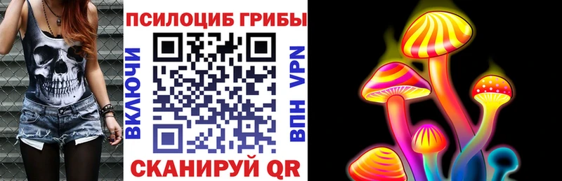 ссылка на мегу tor  даркнет клад  Псилоцибиновые грибы Psilocybine cubensis  цена   Усть-Лабинск 